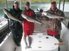 (07/25/2016) - Nice Striped Bass